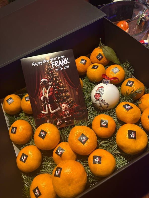 Christmas Ornaments - 15